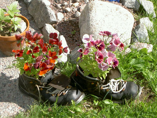 Kängor fyllda med blommor